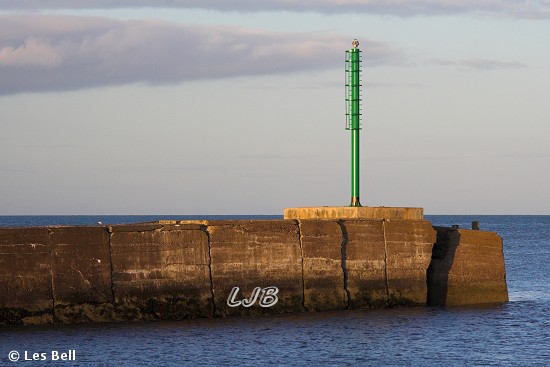 Amble North Breakwater Light