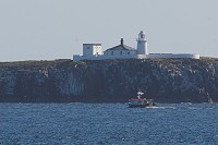 Farne Islands