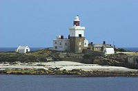 Coquet Island