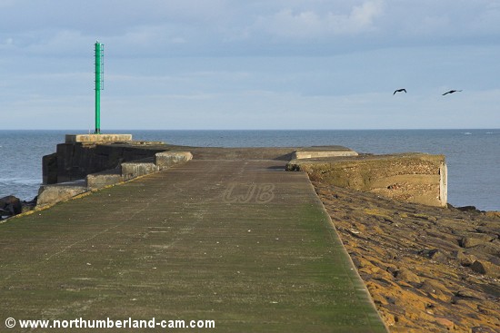 Amble North Breakwater Light